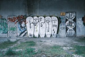 Technology in Kennels Cameras, Software, and Smart Monitoring