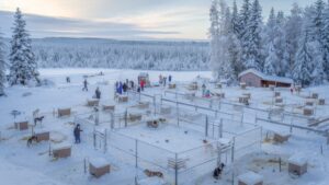 The Modern Kennel Innovations in Dog Boarding Facilities